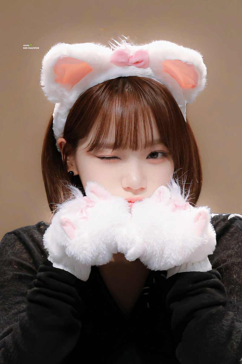 코코아☘️ 𝐜𝐨𝐜𝐨𝐚. tweet media