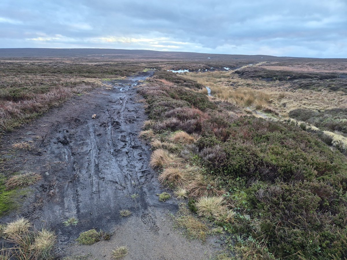 keeper of the peak tweet media