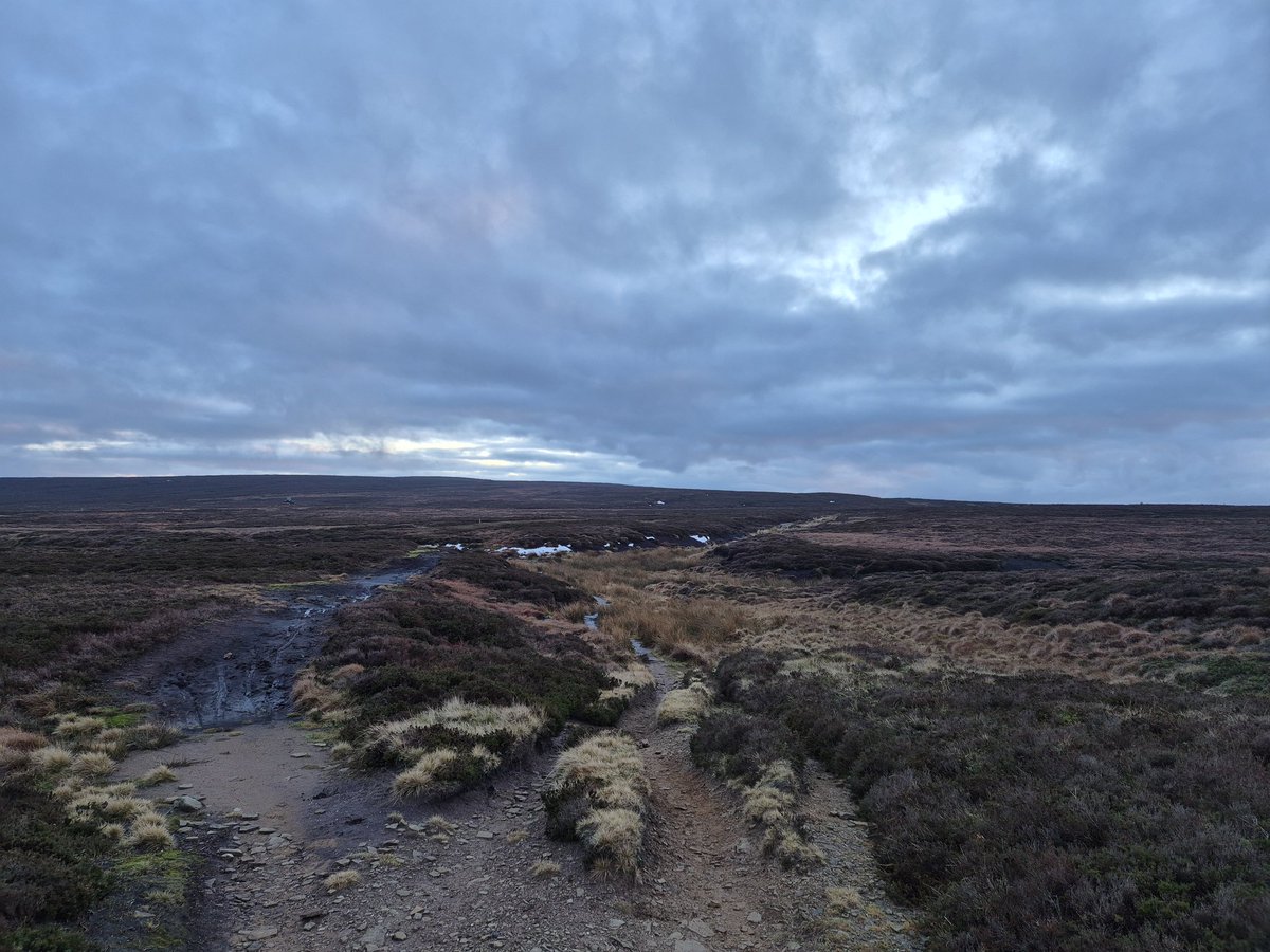 keeper of the peak tweet media