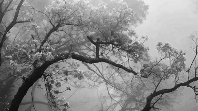 hesisom's tweet image. Kalau masuk ht tolong bagi like yup!❤️#zonauang