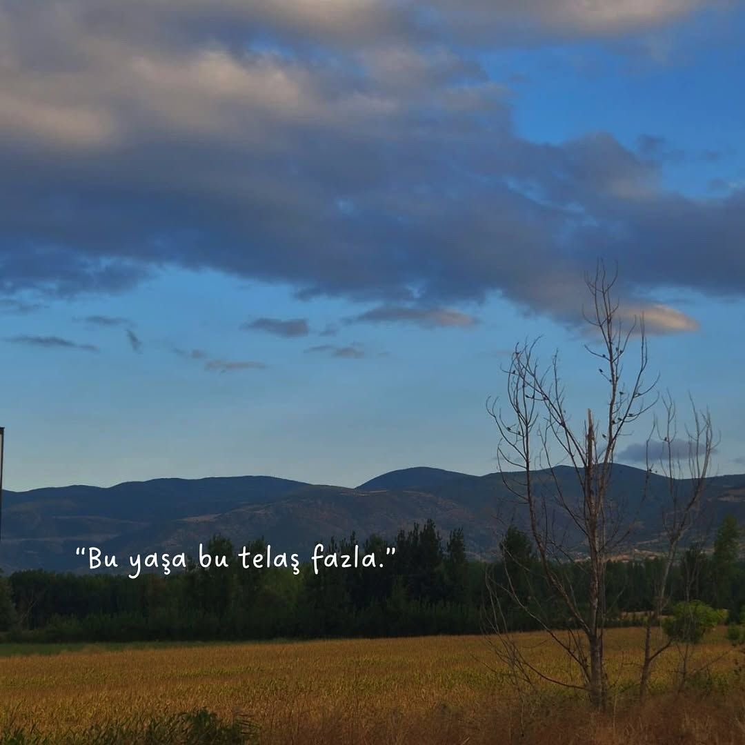 “Bu yaşa bu telaş fazla.”
