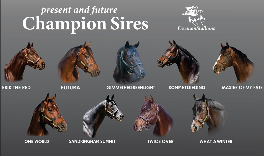 FreemanStallions tweet media