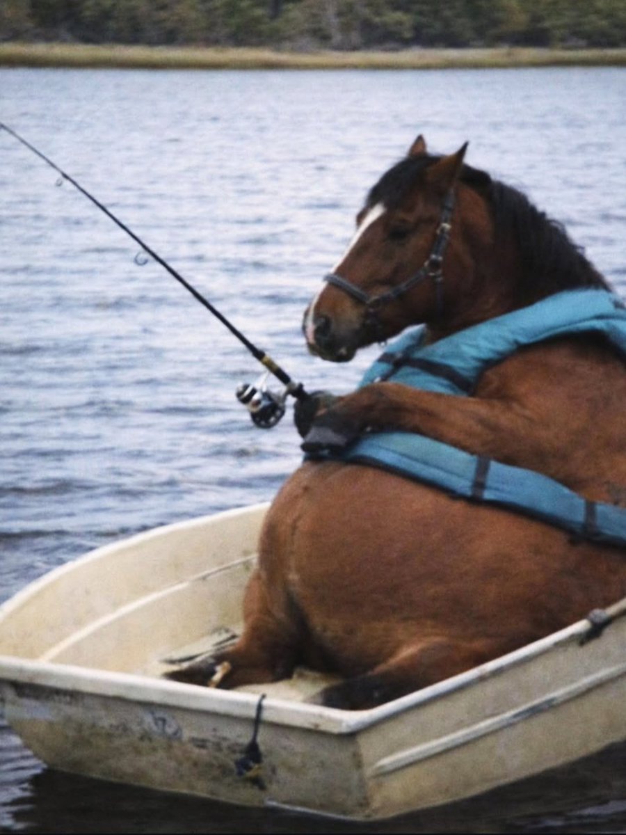 ɹǝʇspɐǝɹq tweet media