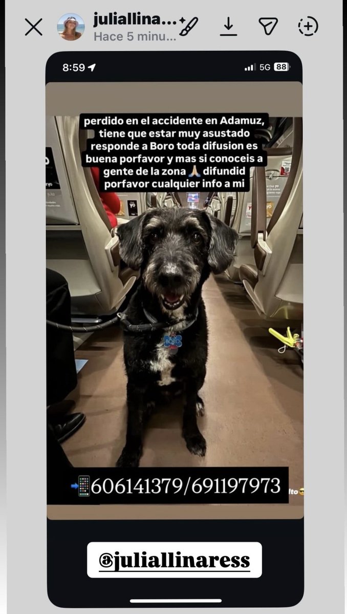 Jesusita 🤍 tweet media