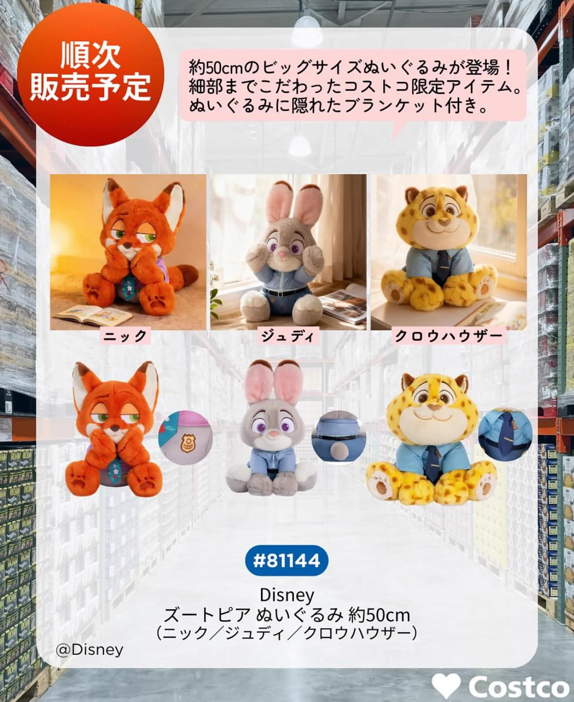 𝕃𝕌𝕂𝔸 🧢🌈✨ポケモンとズートピア生きがいな🧸活民 on X