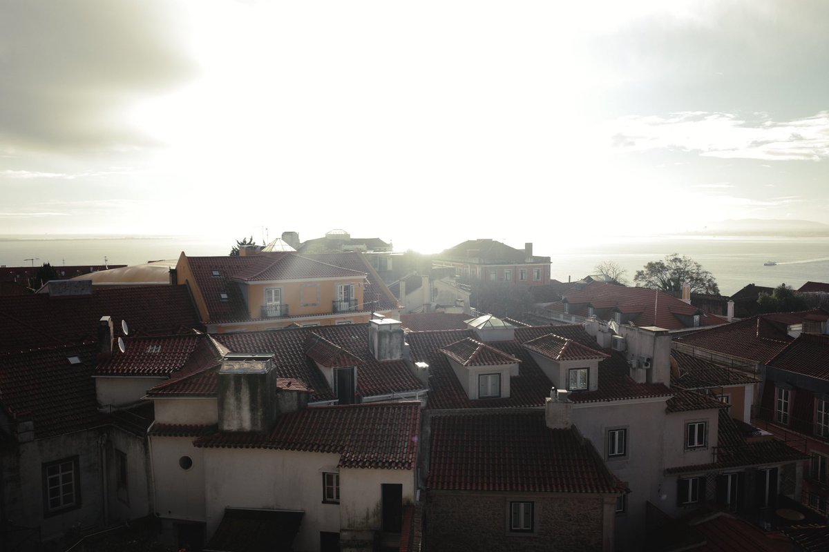 嬉しかったこと。
会場に黒帯だけ入れる通路とエリアがあって、
リスペクトを感じ、「凄いな！」って前回感動してたんだけど、今回はパスもらえるからどこでも入れた事。
そして何より仲間と共にチャレンジ出来た事。
大人の遠足。
良い歳になってもチャレンジできてたら最高