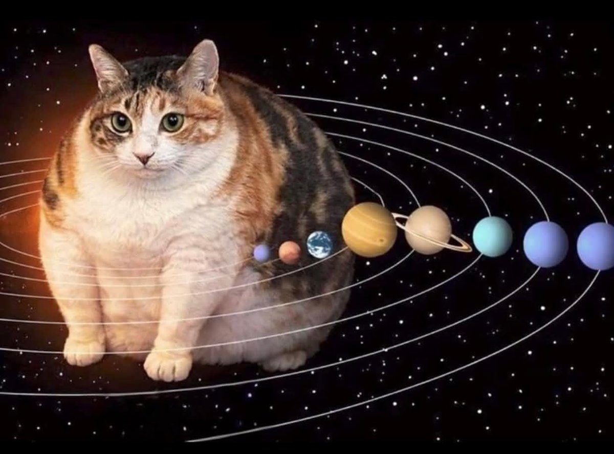 NoCatsNoLife_m's tweet image. The truth NASA is hiding