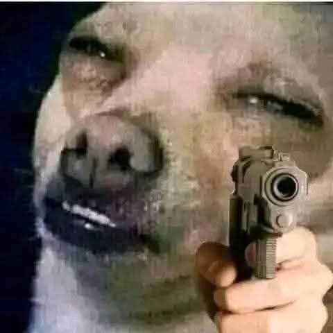 Poor 9000 tweet media