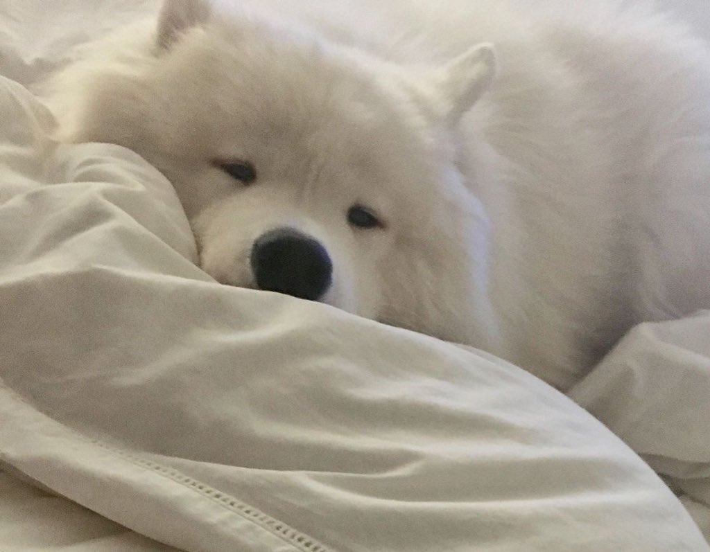 youuuumm's tweet image. 