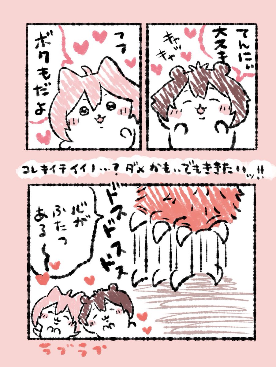 にゃんころもちページ にゃんころもちさんのページ - エキスパート - Yahoo!ニュース