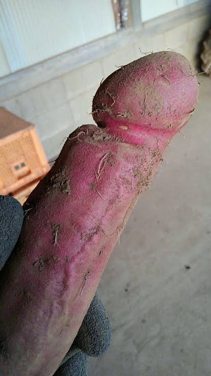 Cʜᴇᴍɪᴄᴀʟʟʏ Uɴʙᴀʟᴀɴᴄᴇᴅ Mᴇᴍᴇs™ tweet media