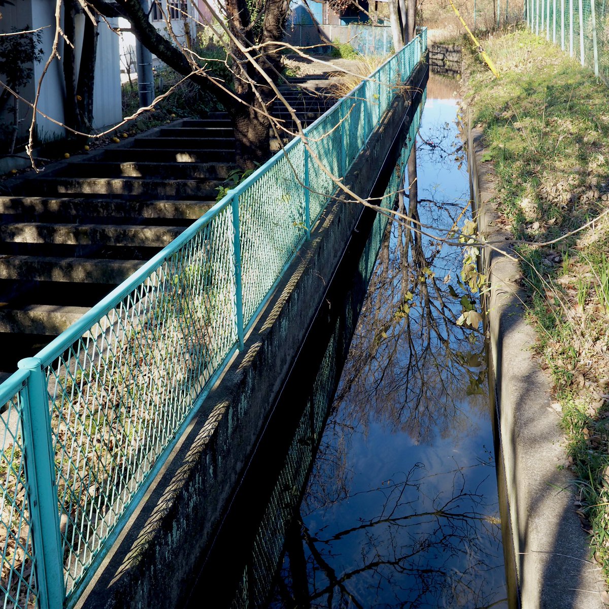 frog_frog's tweet image. 大丸用水 亀の子堀と川原堀
2本の水路は並行しているが、深くを流れる亀の子堀はこの写真だと水面が見えない。
〔川崎市多摩区〕