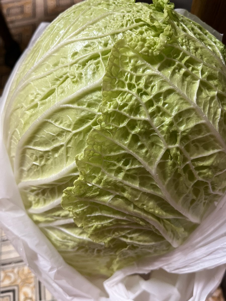 abynosuke's tweet image. 昨日男子駅伝で道が混む前に最寄りの農協直売所にいくと「白菜」「みかん」「蝋梅」祭りだった。安！！
ぷりぷり、みっちり！重たくて手がちぎれるかと思うたわ。