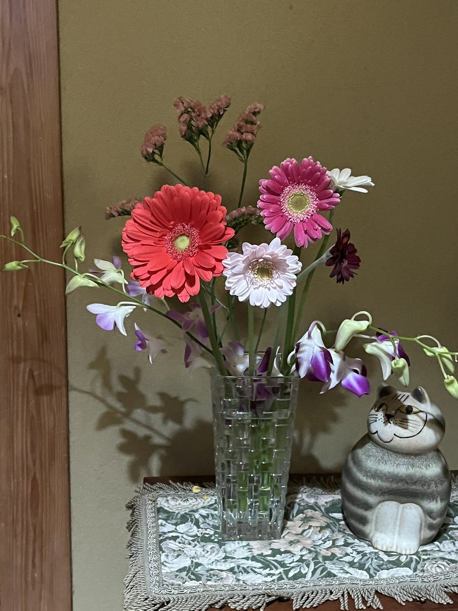 abynosuke's tweet image. 昨日男子駅伝で道が混む前に最寄りの農協直売所にいくと「白菜」「みかん」「蝋梅」祭りだった。安！！
ぷりぷり、みっちり！重たくて手がちぎれるかと思うたわ。