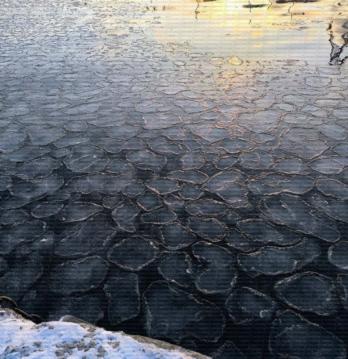 Факти ICTV tweet media