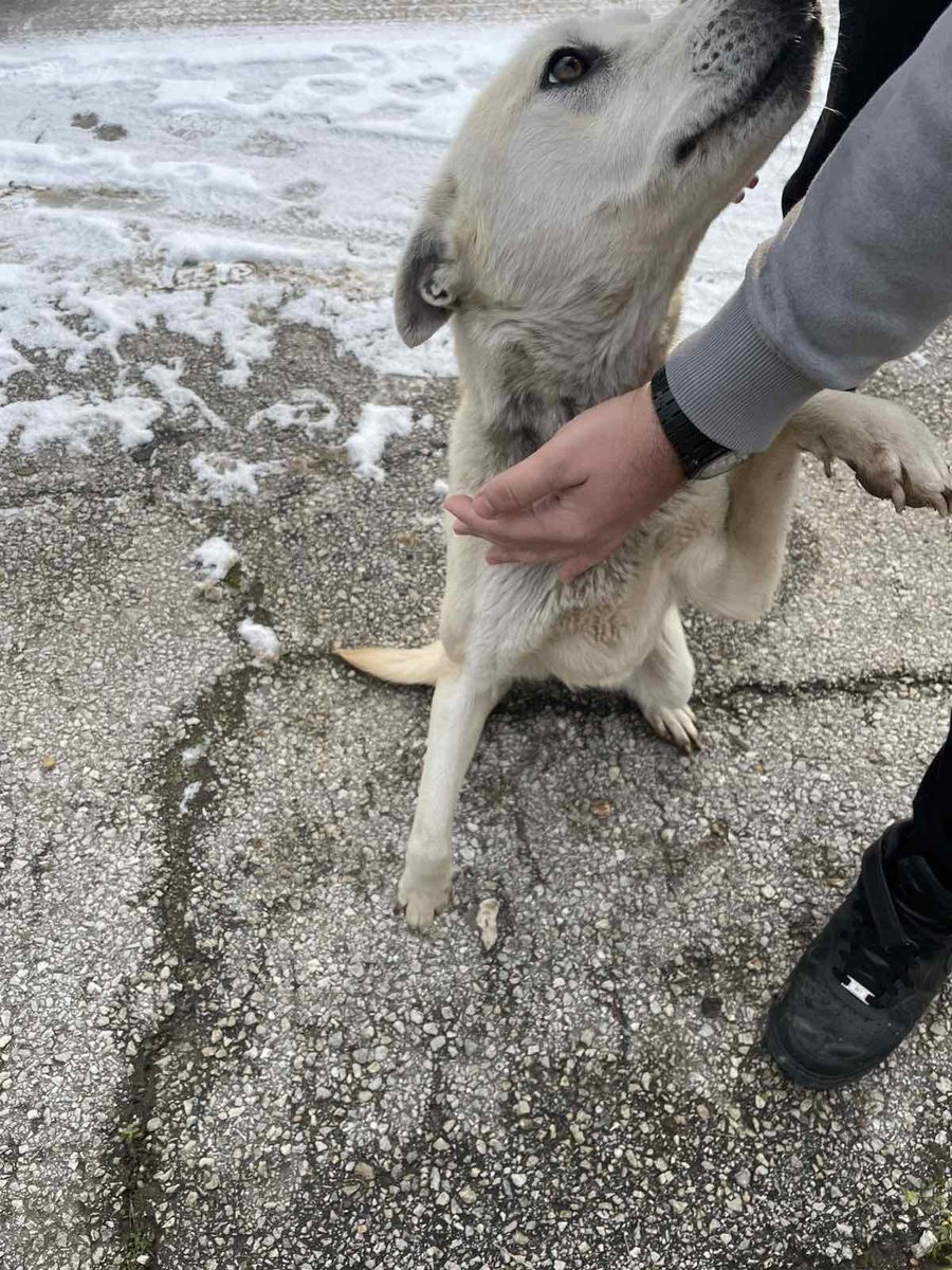 Trend Scalez tweet media