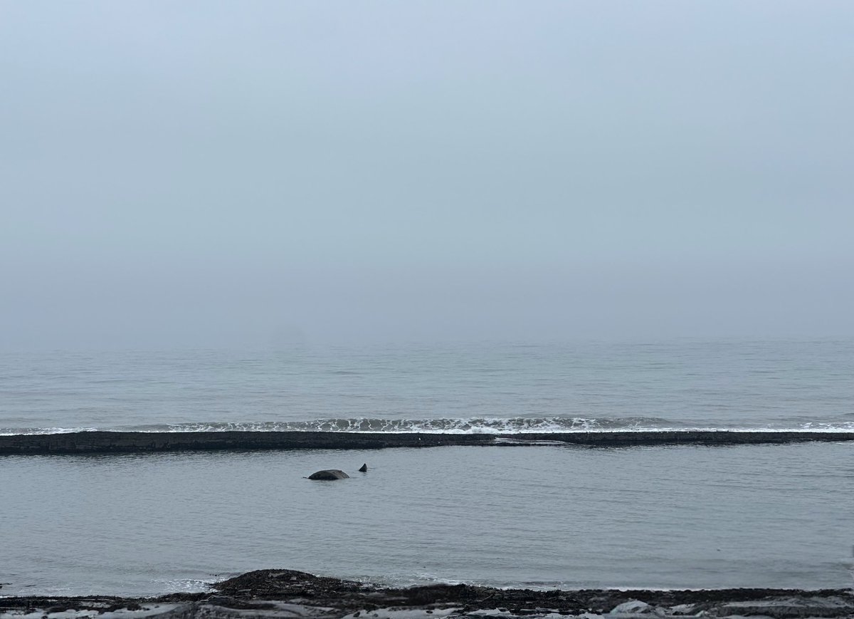 SeaWindowCraster tweet media