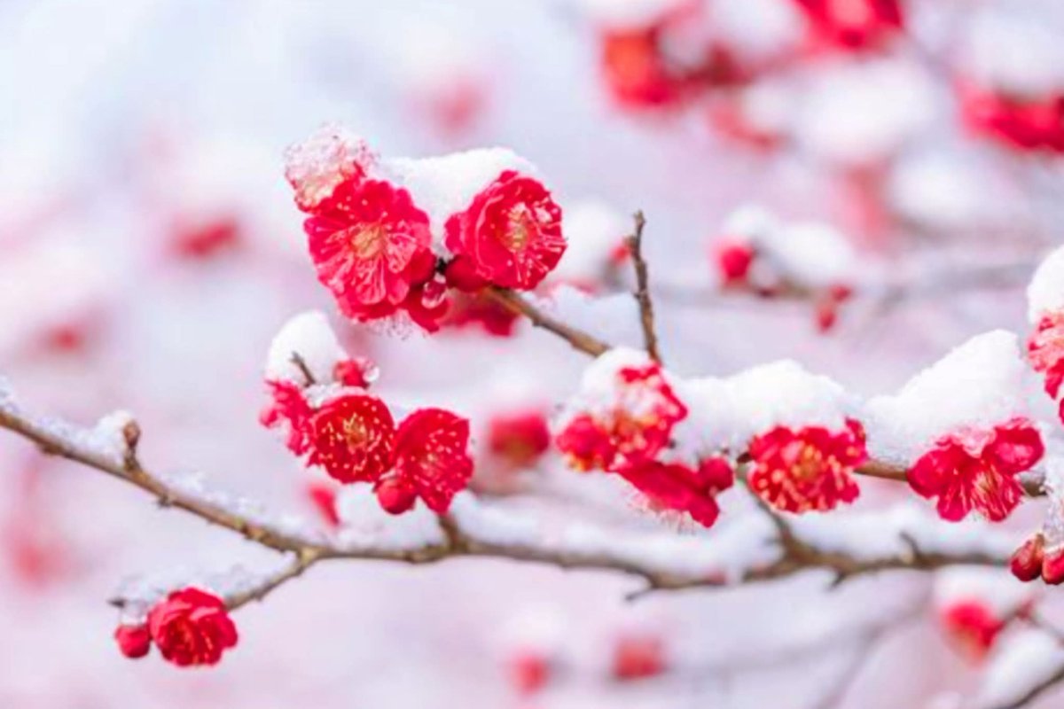 김진익(Enable KOREA) tweet media