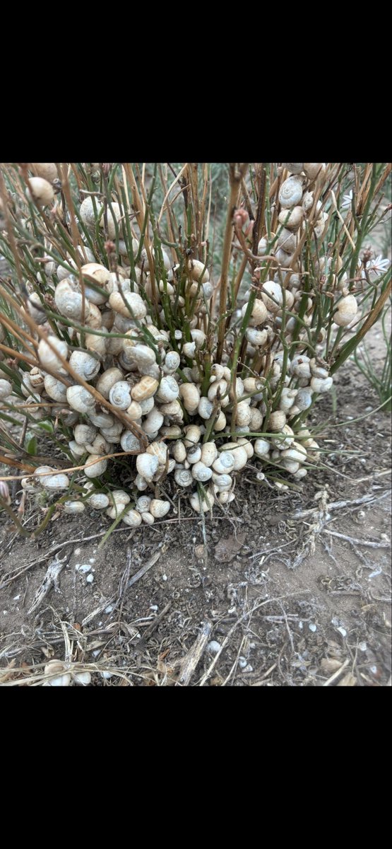 Jack Barlow tweet media