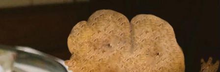 Pepecoin tweet media