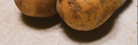 Pepecoin tweet media