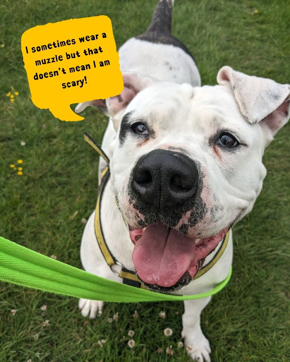 DT Loughborough tweet media