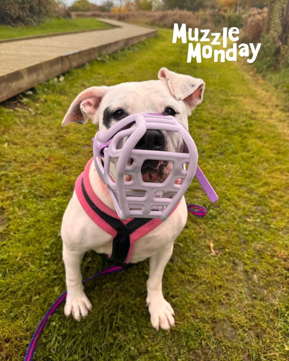 DT Loughborough tweet media