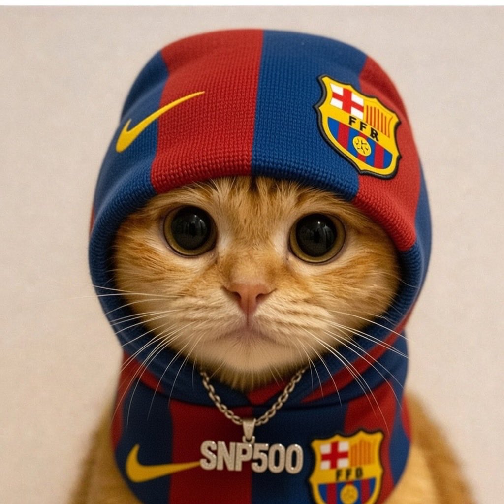 saivSOL's tweet image. made a couple more pussies, feel free to use the images for shilling