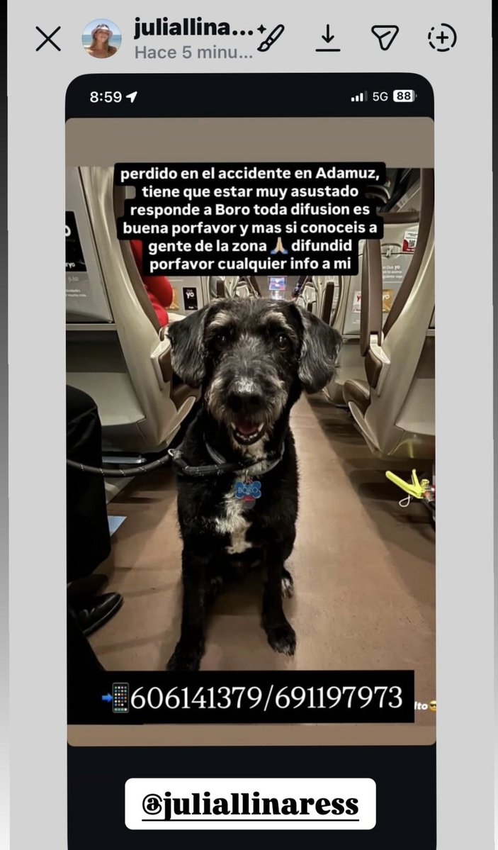 mj_floar's tweet image. Aquí tenéis los números por si alguien sabe algo de Boro.