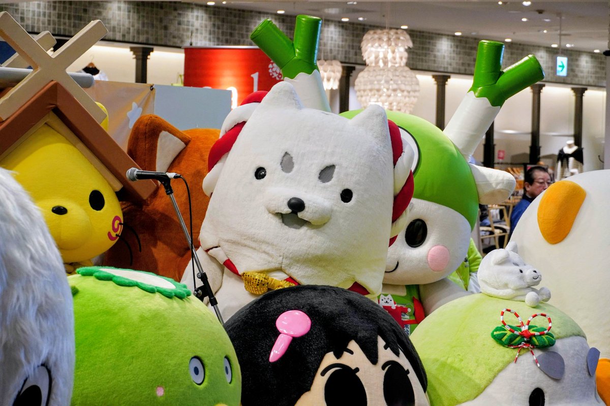 かにぱん コマツ 🦀かにぱん雲⛅ (@kanione_mg) / Posts / X