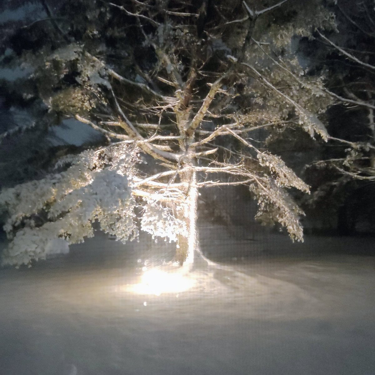 Neeta Kumar-Britten tweet media