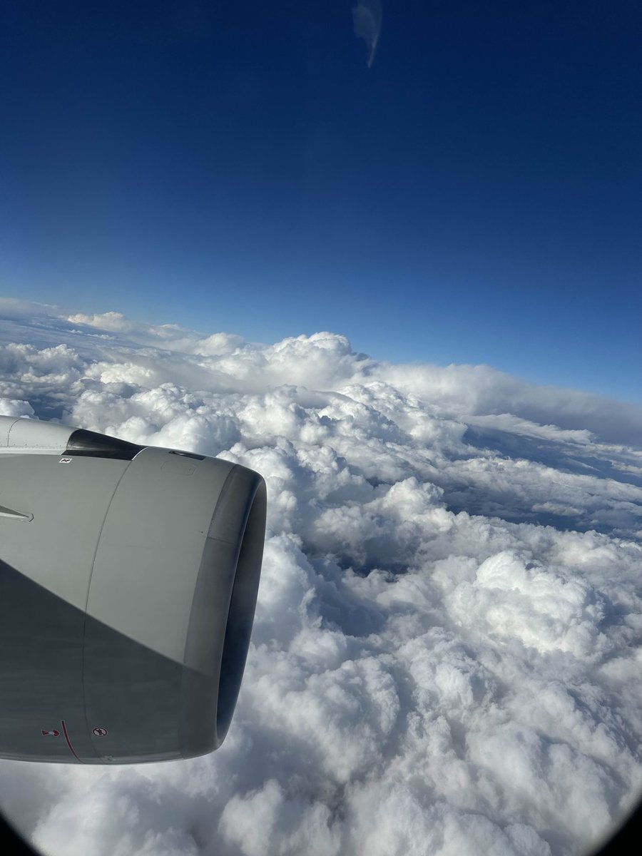 Yassin Rahmani tweet media