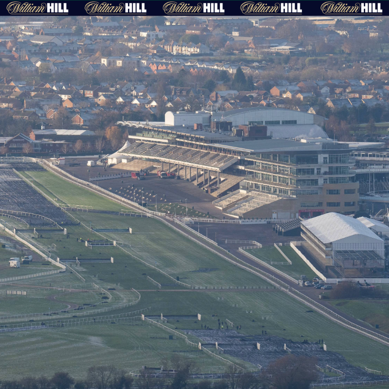 WillHillRacing's tweet photo. 🚨 50 days til Cheltenham!

To celebrate we're boosting Sir Gino (Champion Hurdle), Fact To File (Ryanair) &amp; Galopin Des Champs (Gold Cup) All To Win.

𝗧𝗼 𝟱𝟬/𝟭!

18+ | GambleAware