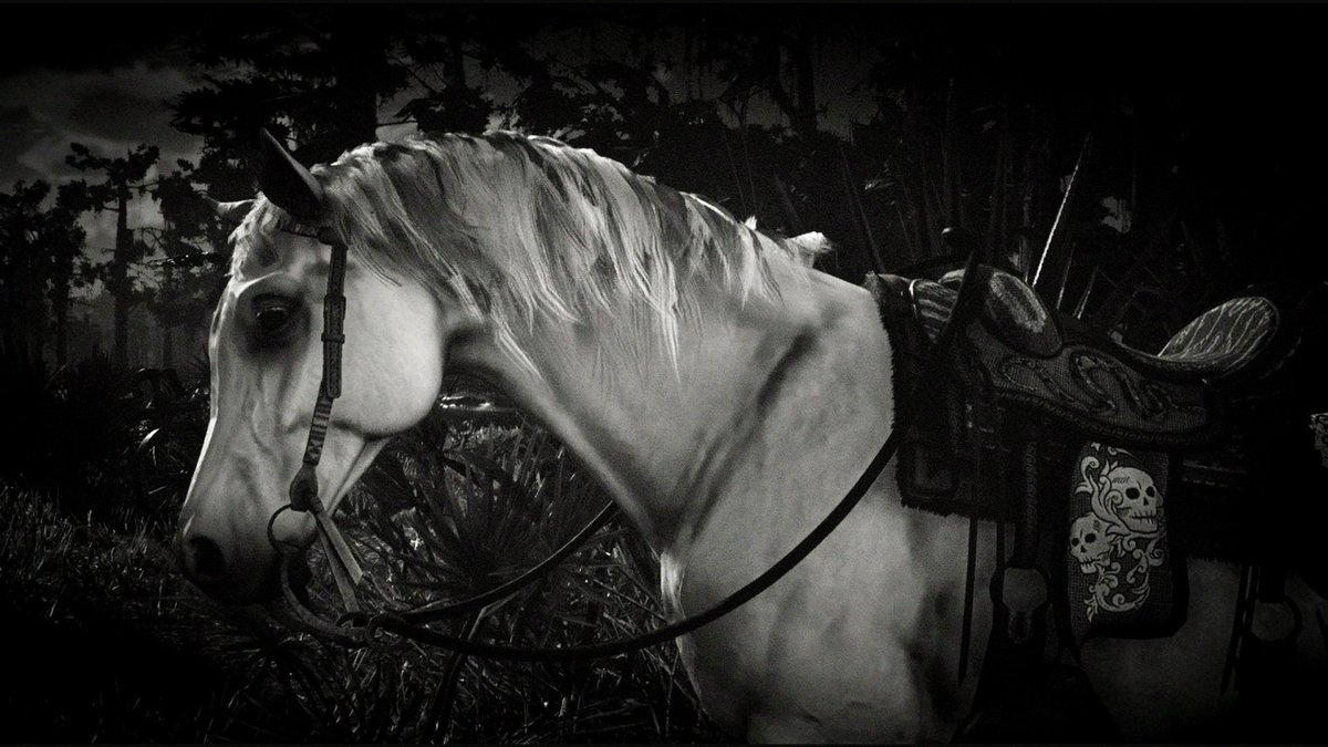 Candysseus's tweet photo. Sometimes things are just black & white…
ADVANCED CAMERA -NOIR FILTER
#RedDeadPhotomode 💥📸 ❤️🔥
#VirtualPhotography by
#MissCandyLicious🍭
GAME: #RedDeadOnline
DEV: #RockstarGames
PLATFORM: #PS5 https://t.co/kOgOUuwgWc