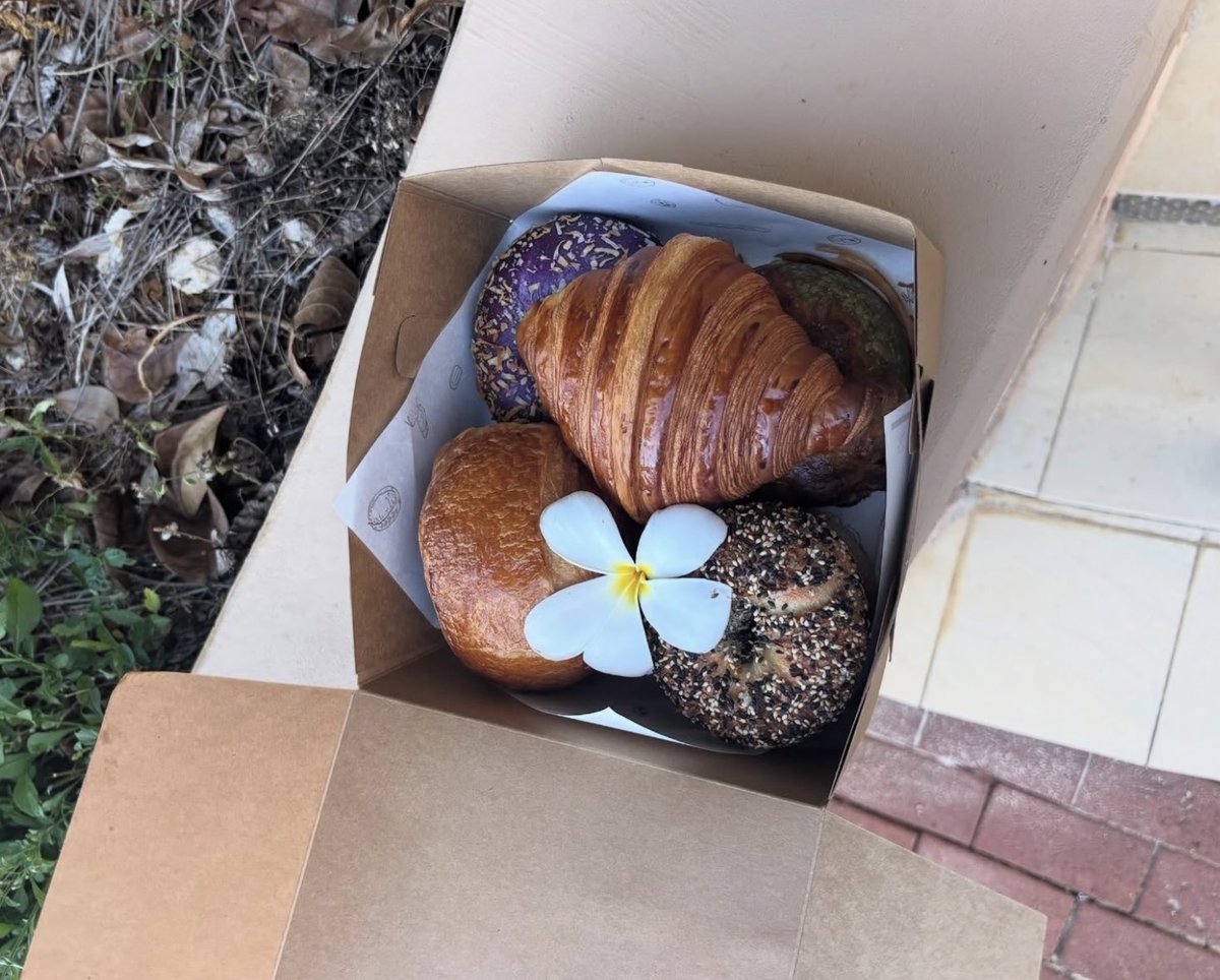 binzipi's tweet image. 🌀🩵