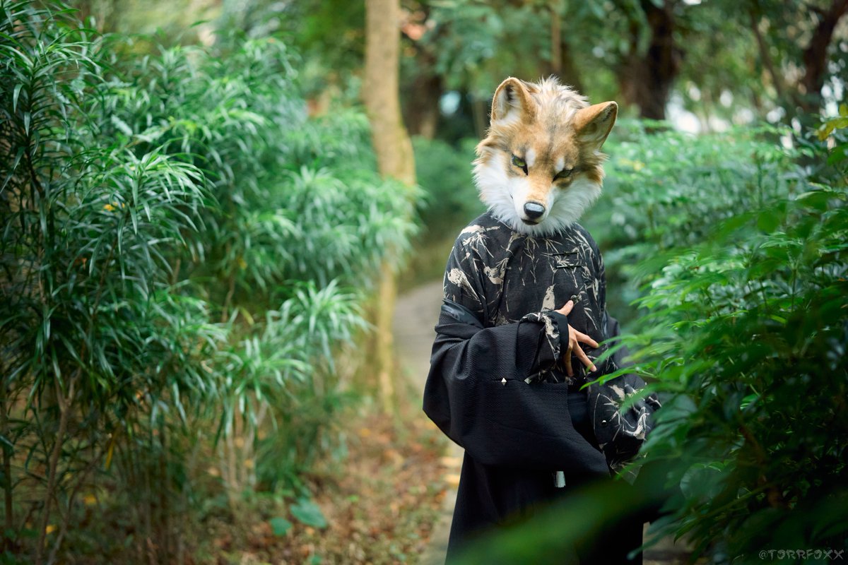 Get closer.
-
📸 : <a href="/TorrFoxx/">圖爾</a> 
-
#創造トリアノン