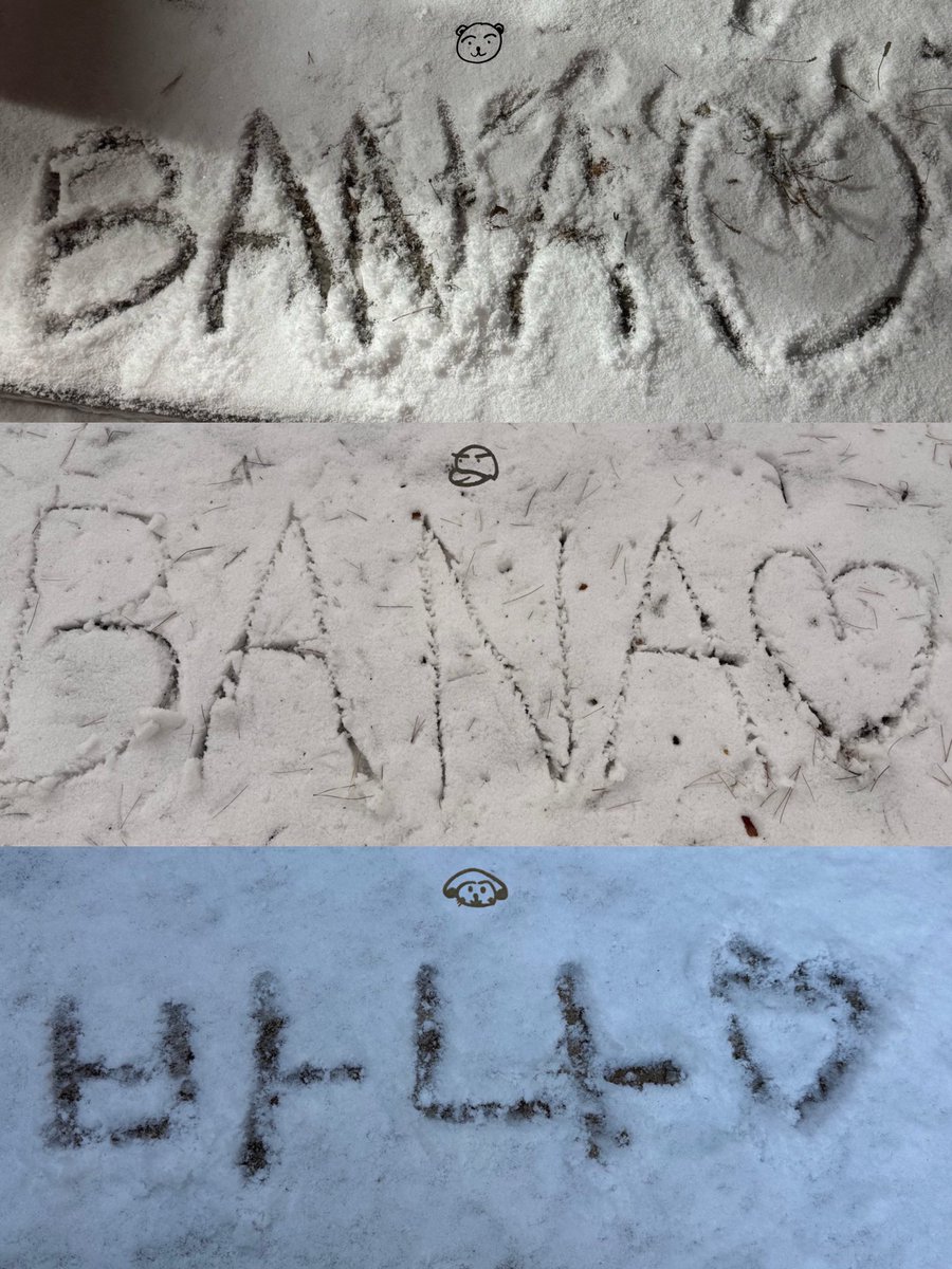 lxeris_'s tweet photo. 뵤네뽀가 쓴 눈밭 위에 바나〰️❄️🤍🩵🤍 https://t.co/tZCDrxUHgy