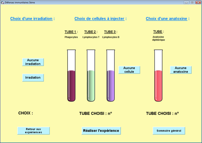 SVT_edu_num's tweet photo. [#Edubase] "Des activités pour travailler sur les défenses immunitaires" par @acbesancon 
https://t.co/XeJ1oglu1m https://t.co/mCA8H7vomM
