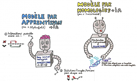 Enseigner les SVT avec le numérique tweet media