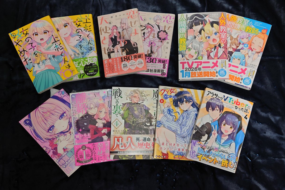 straysparrow4 tweet picture
