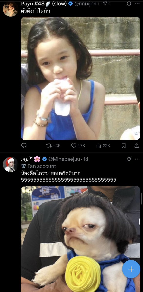 parkyodapcy's tweet image. มึง ไทม์ไลน์กุตลกมาก5555555ละเสื้อสีน้ำเงินเหมือนกัน 55555555อ่อยยย น้องหนาวววว