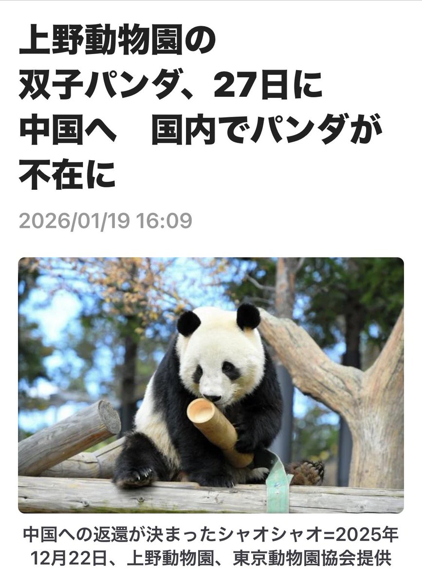 正直、パンダ居なくても困りませんから❗️✋
ついでに中国人も入国拒否して下さい😬👎
#パンダ　#中国