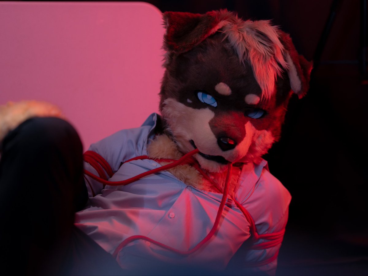 汪歐 | Wantallday 🔜 2026Thaitails tweet media