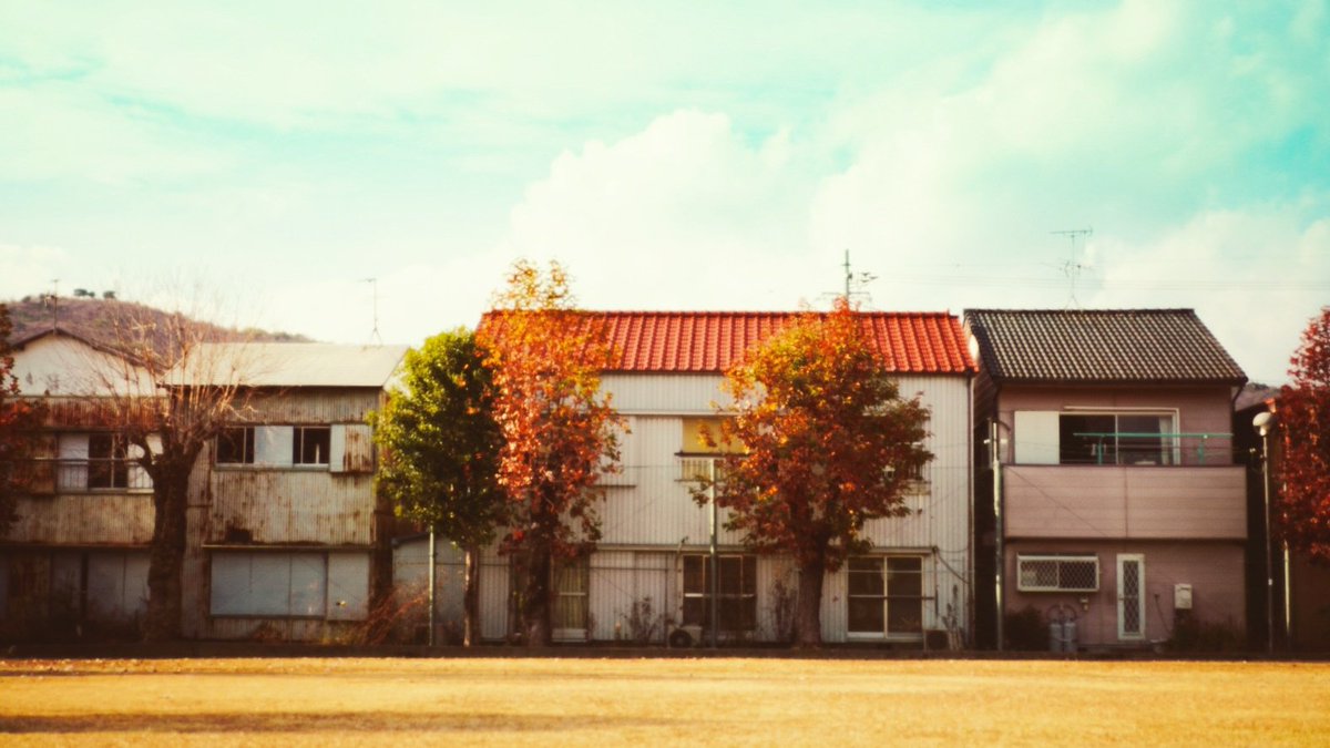 彩川 菜々ฅ'' tweet media