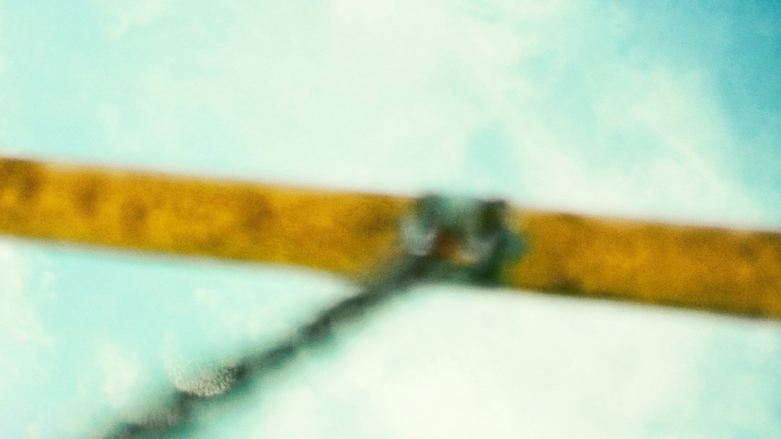 彩川 菜々ฅ'' tweet media