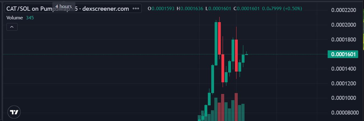 the_justacat's tweet photo. Just A Cat exists because cats don’t need reasons. Feeling curious? just watch. 

#CAT #pumpfun #solana #memecoin #CryptoComunity https://t.co/cgbwbSd2vp