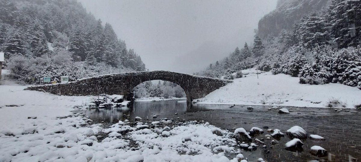 Bujaruelo,17 de Enero de 2026 Sábado.

Foto de Alberto.