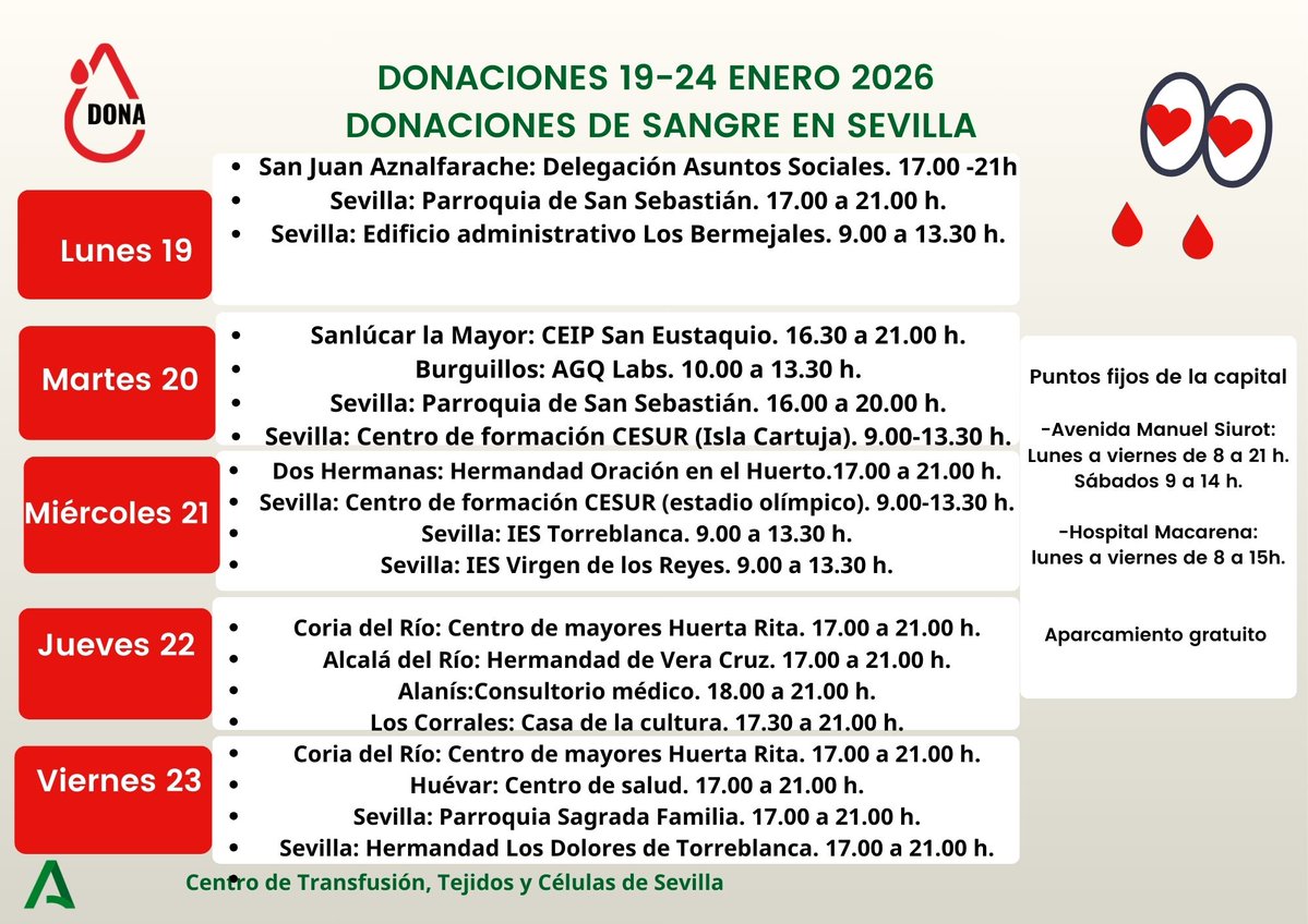 donantessevilla's tweet image. 