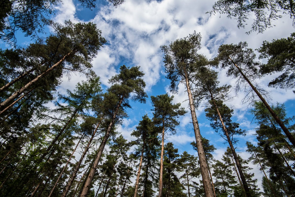 Defra Public Appointments tweet media