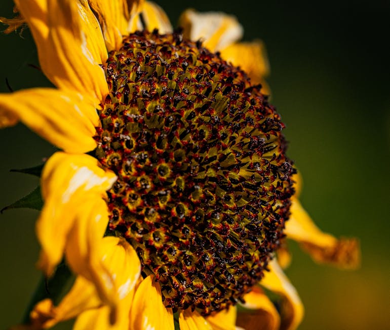 Brian Cooper tweet media